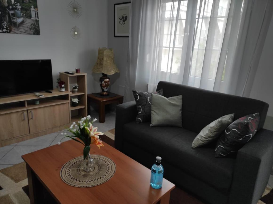 S.T Family Apartement Καλαμπάκα Εξωτερικό φωτογραφία