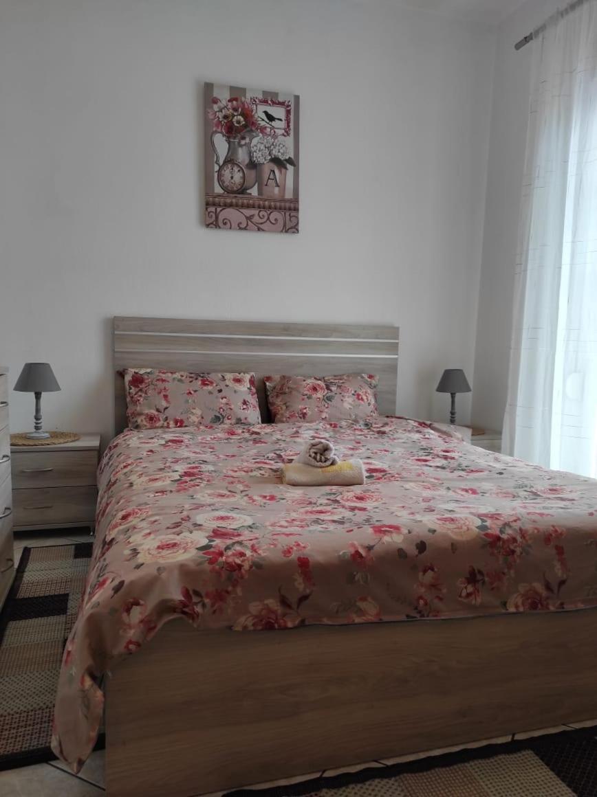 S.T Family Apartement Καλαμπάκα Εξωτερικό φωτογραφία