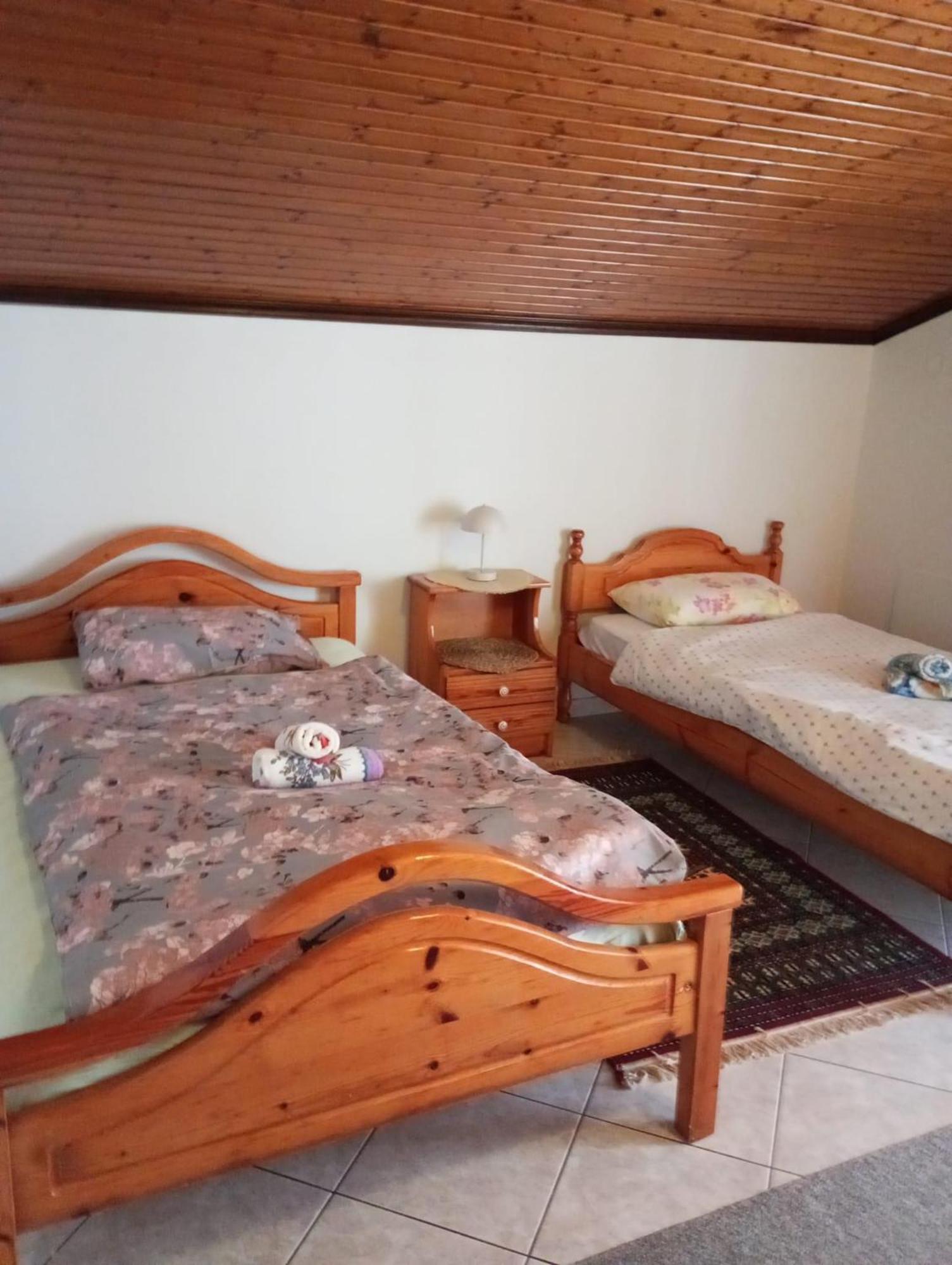 S.T Family Apartement Καλαμπάκα Εξωτερικό φωτογραφία